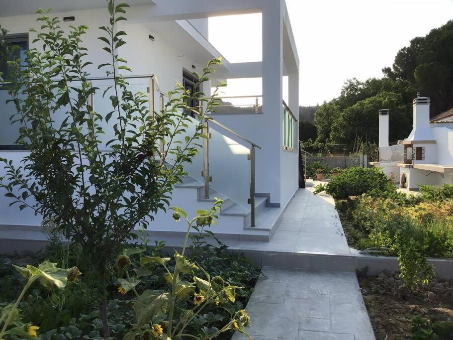 Zante Luxury Apartment Argassi Bagian luar foto